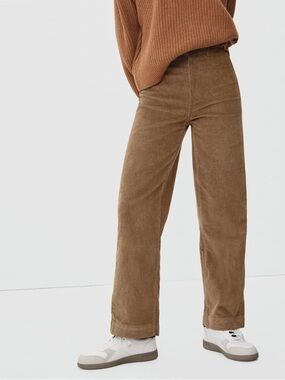 Everlane The Corduroy Wide-Leg Pant Size 4